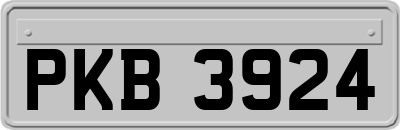 PKB3924