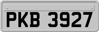 PKB3927