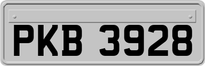 PKB3928