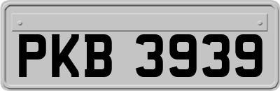 PKB3939
