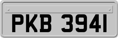 PKB3941