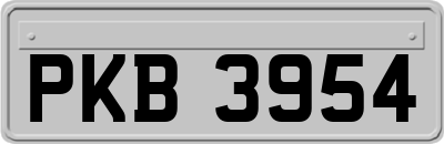PKB3954