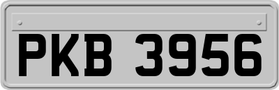 PKB3956