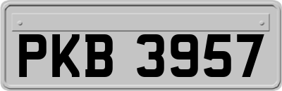 PKB3957