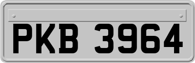PKB3964