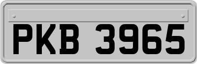 PKB3965
