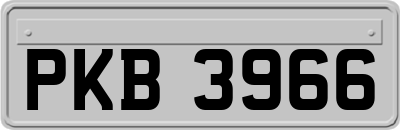 PKB3966