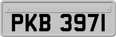 PKB3971