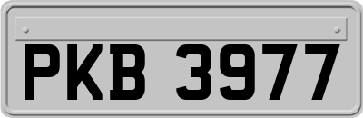 PKB3977