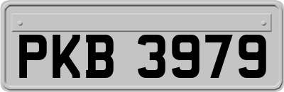 PKB3979