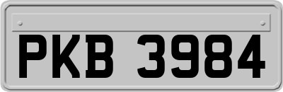 PKB3984