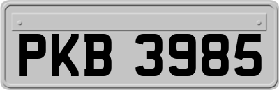 PKB3985