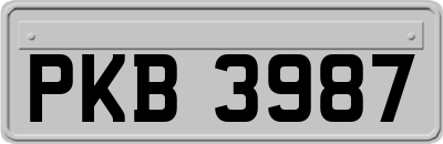 PKB3987