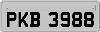 PKB3988