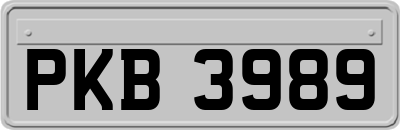 PKB3989