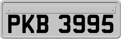 PKB3995