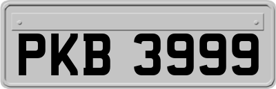 PKB3999