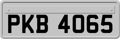 PKB4065