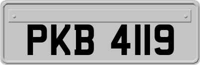 PKB4119