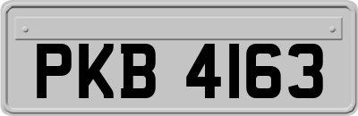 PKB4163