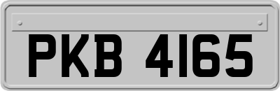 PKB4165