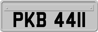 PKB4411