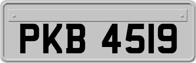 PKB4519