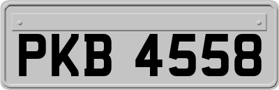 PKB4558