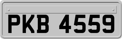 PKB4559