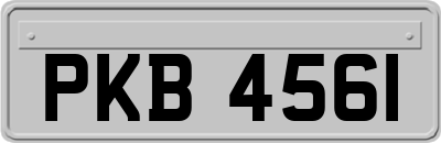 PKB4561