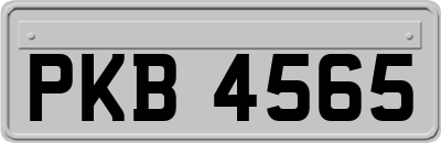 PKB4565