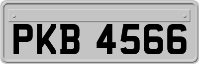 PKB4566