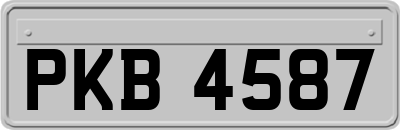 PKB4587