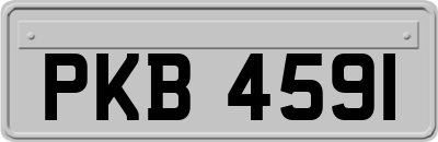 PKB4591