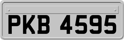 PKB4595