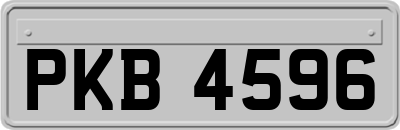 PKB4596