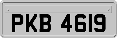 PKB4619