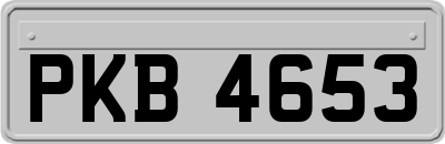 PKB4653