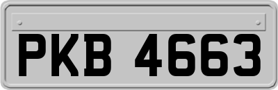 PKB4663