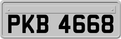 PKB4668