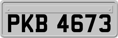PKB4673
