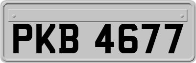 PKB4677