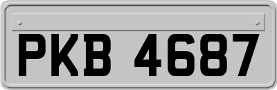 PKB4687
