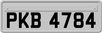 PKB4784