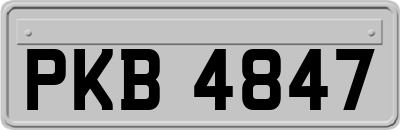 PKB4847