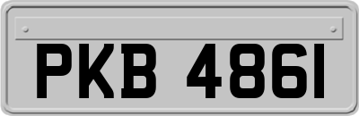 PKB4861