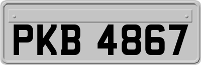 PKB4867
