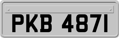 PKB4871