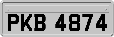 PKB4874