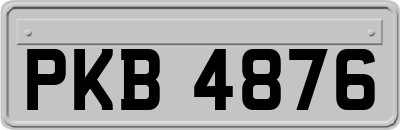 PKB4876